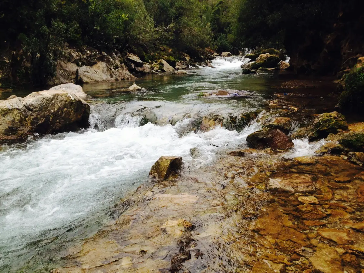 A scenic view of the rushing Akchour river and small cascades, a popular day trip destination located near Chefchaouen in the Rif Mountains of Morocco
